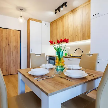 Zenith Residence- Centre, Ac, Free Parking By Staynest * Rzeszow