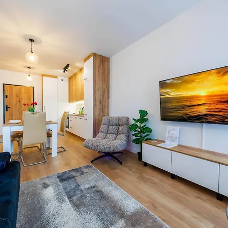 Zenith Residence- Centre, Ac, Free Parking By Staynest Rzeszow